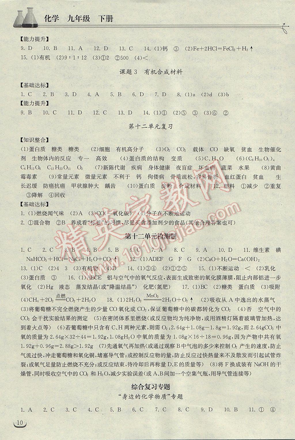 2017年长江作业本同步练习册九年级化学下册人教版 参考答案第10页