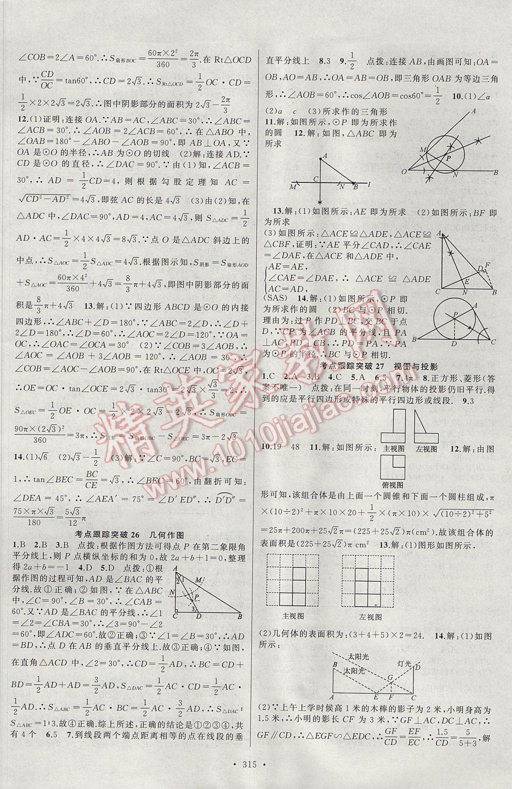 2017年聚焦中考數(shù)學河南專版 參考答案第43頁