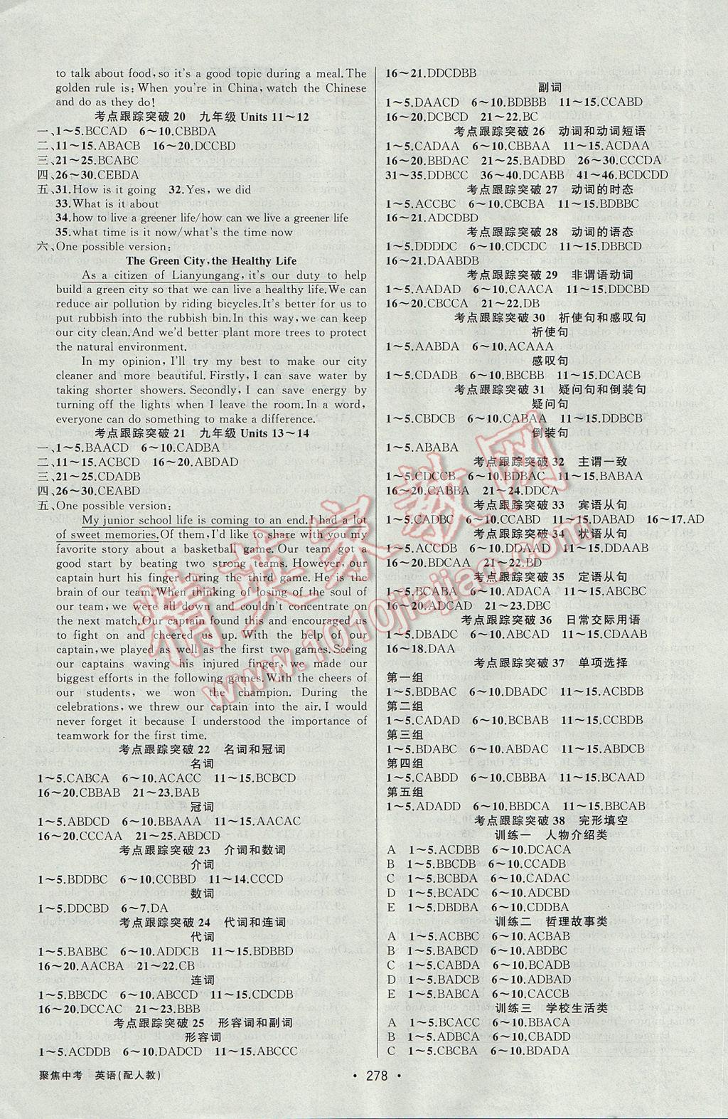 2017年聚焦中考英语河南专版 参考答案第13页