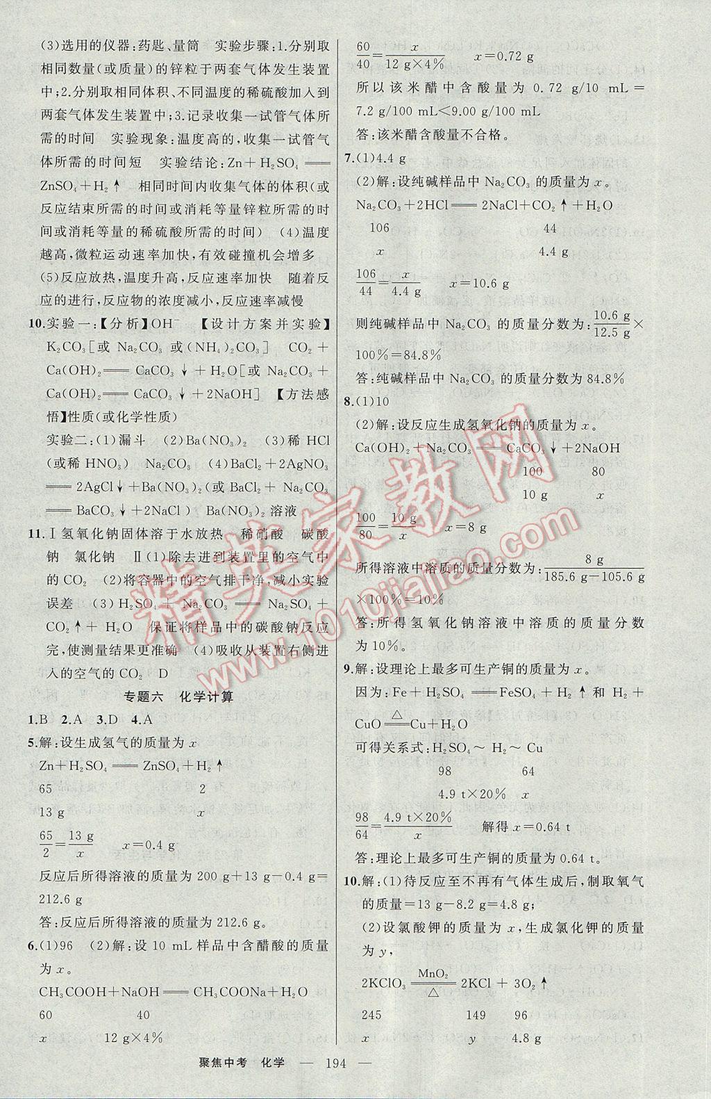 2017年聚焦中考化學(xué)河南專版 參考答案第20頁