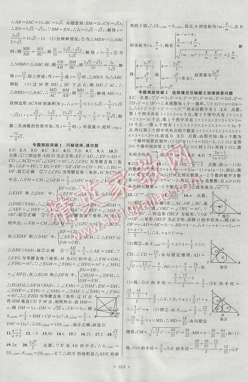 2017年聚焦中考數(shù)學(xué)河南專版 參考答案第47頁