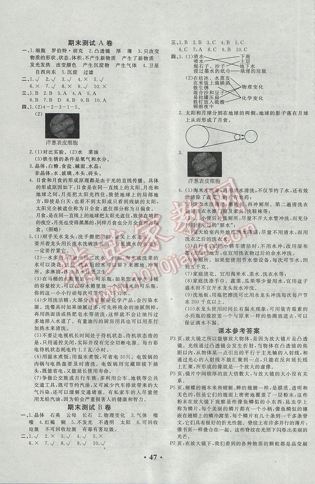 2017年百分金卷六年級科學(xué)下冊教科版 參考答案第3頁