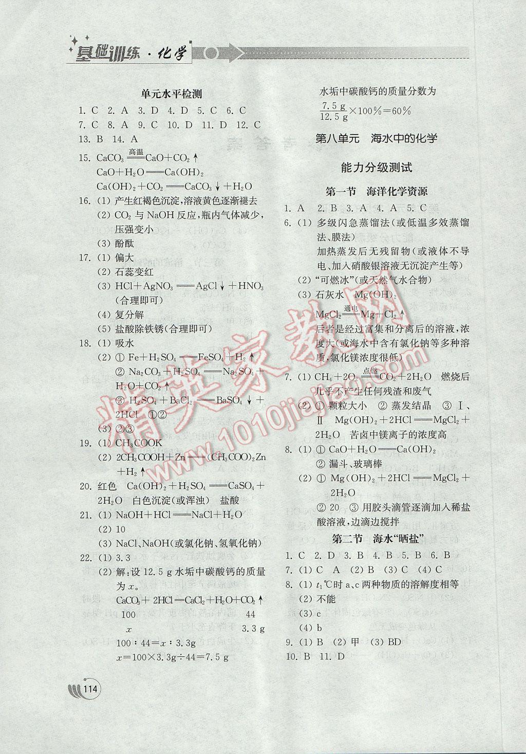 2017年初中基础训练九年级化学下册鲁教版山东教育出版社 参考答案第2页