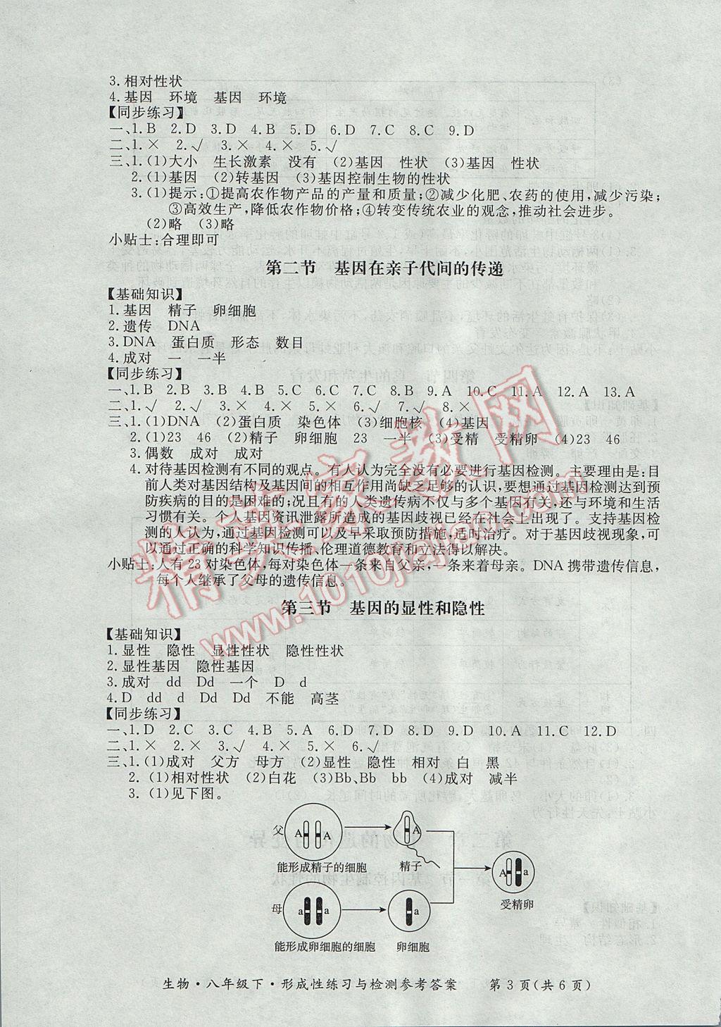 2017年新課標(biāo)形成性練習(xí)與檢測(cè)八年級(jí)生物下冊(cè) 參考答案第3頁(yè)