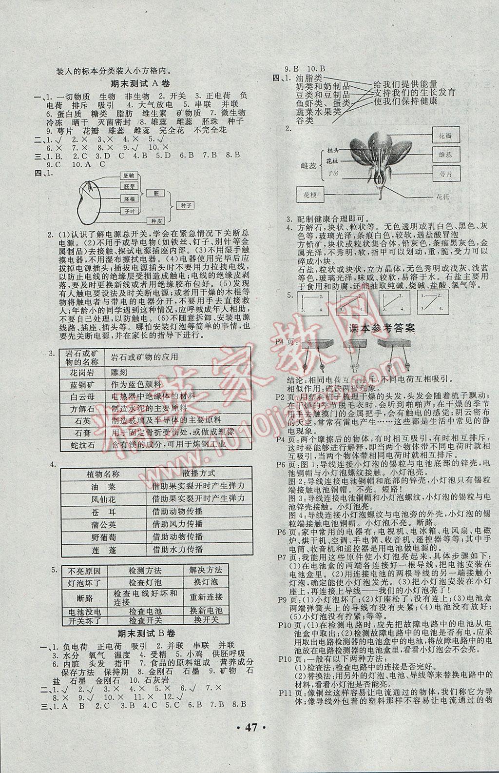 2017年百分金卷四年級(jí)科學(xué)下冊(cè)教科版 參考答案第3頁