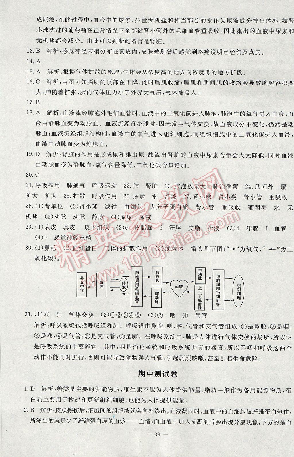 2017年課內(nèi)課外直通車七年級生物下冊北師大版 活頁卷答案第13頁