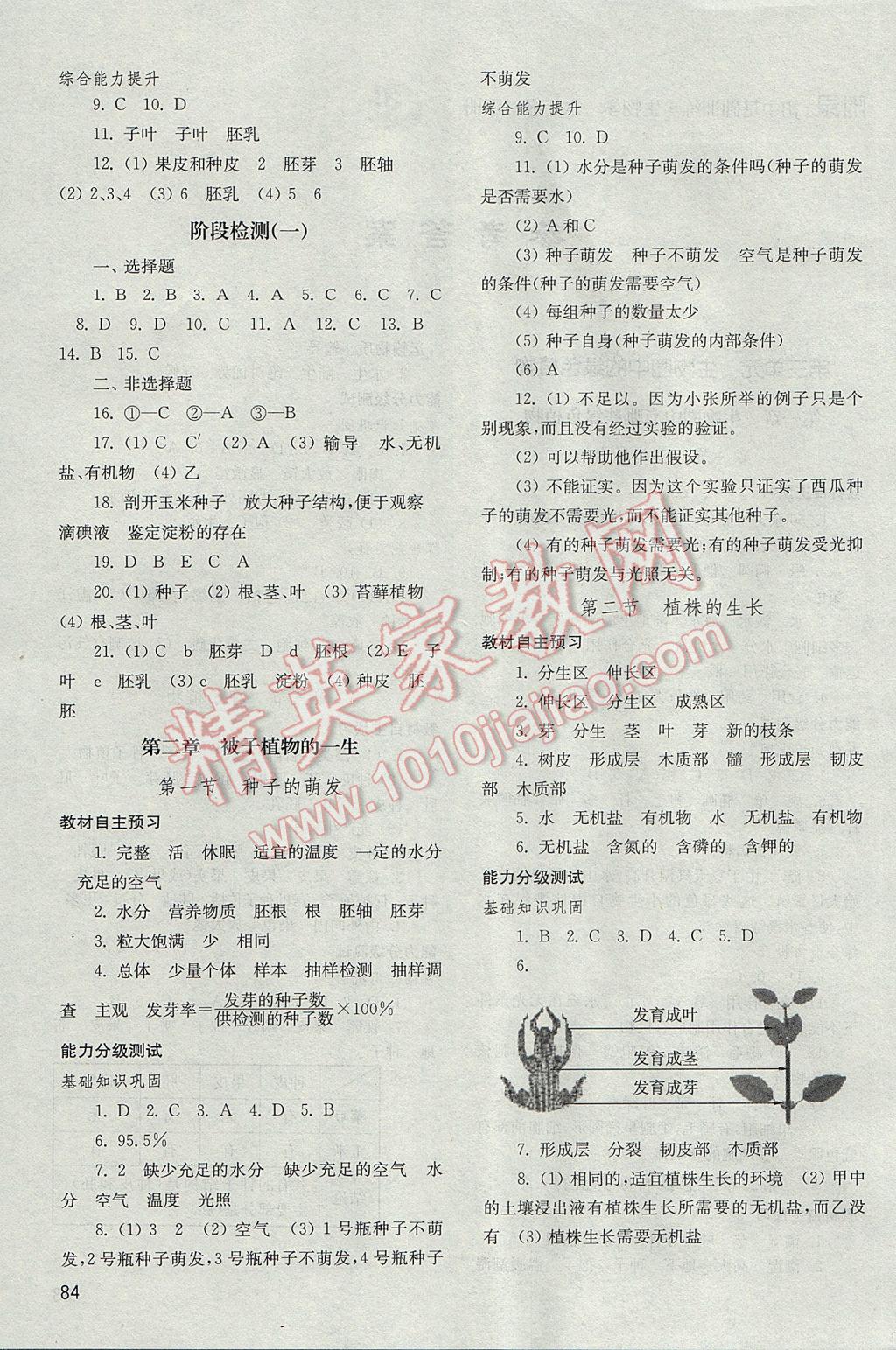 2017年初中基础训练六年级生物学下册鲁科版五四制山东教育出版社 参考答案第2页