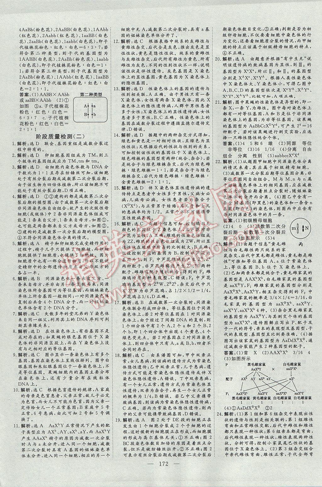 創(chuàng)新方案高中同步創(chuàng)新課堂生物必修2人教版 參考答案第24頁