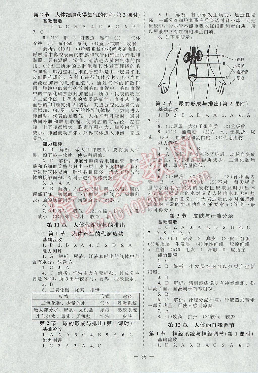 2017年課堂精練七年級生物下冊北師大版 參考答案第3頁