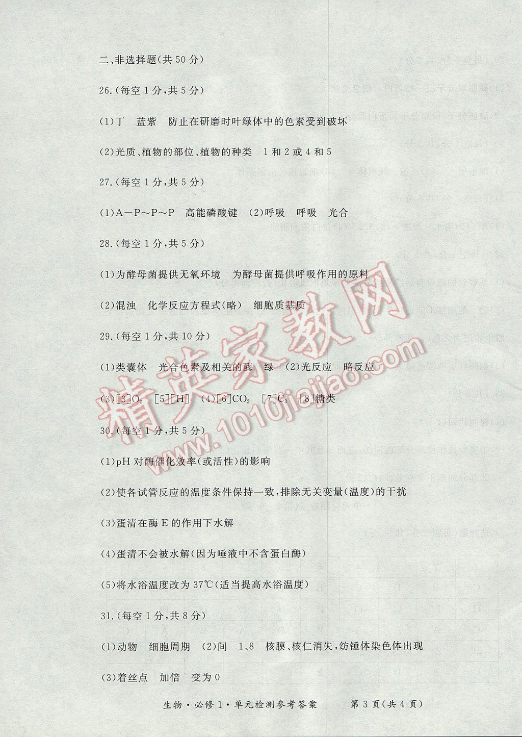 新課標形成性練習與檢測生物必修1 參考答案第19頁