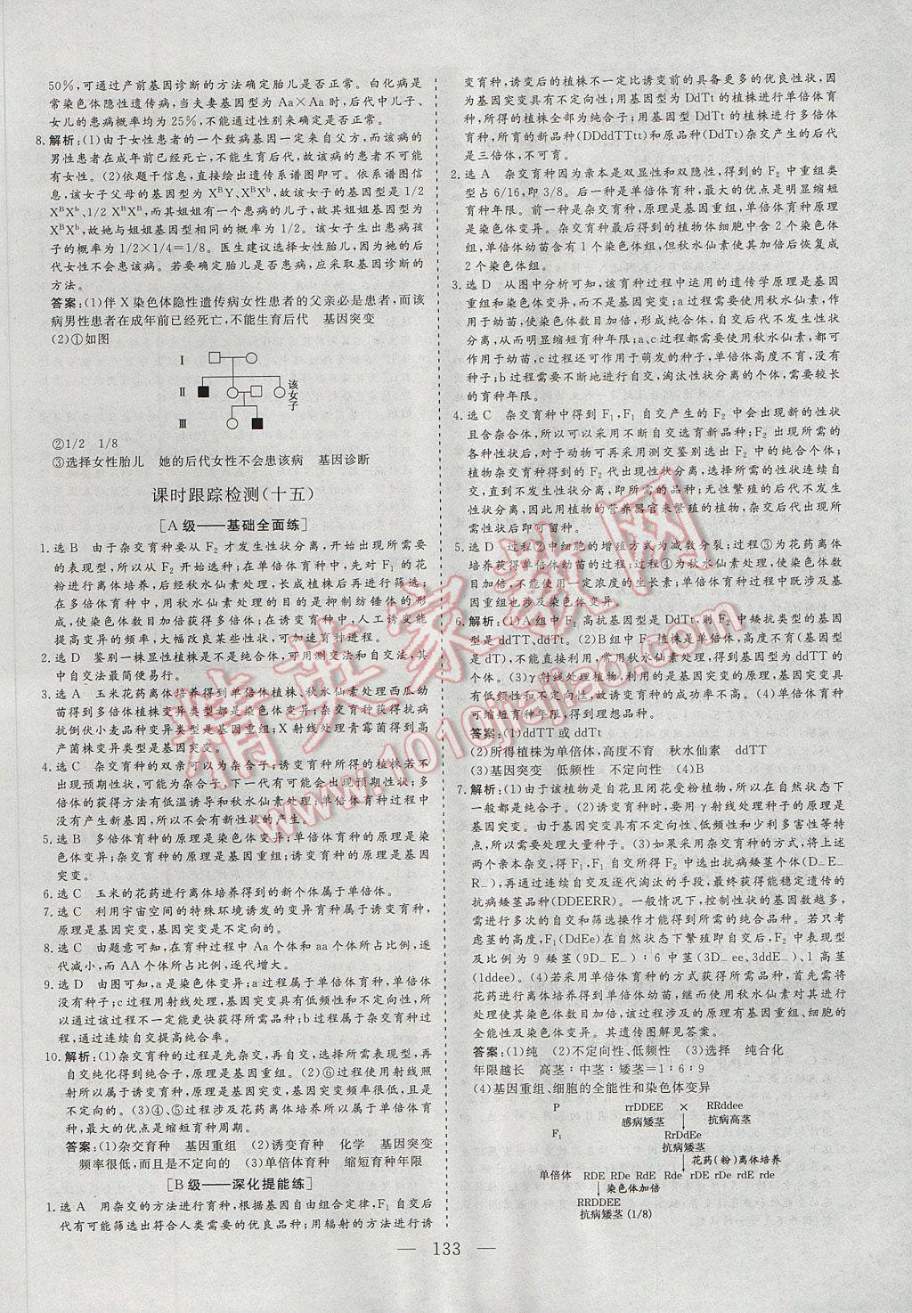 三維設(shè)計高中新課標同步課堂生物必修2 參考答案第25頁