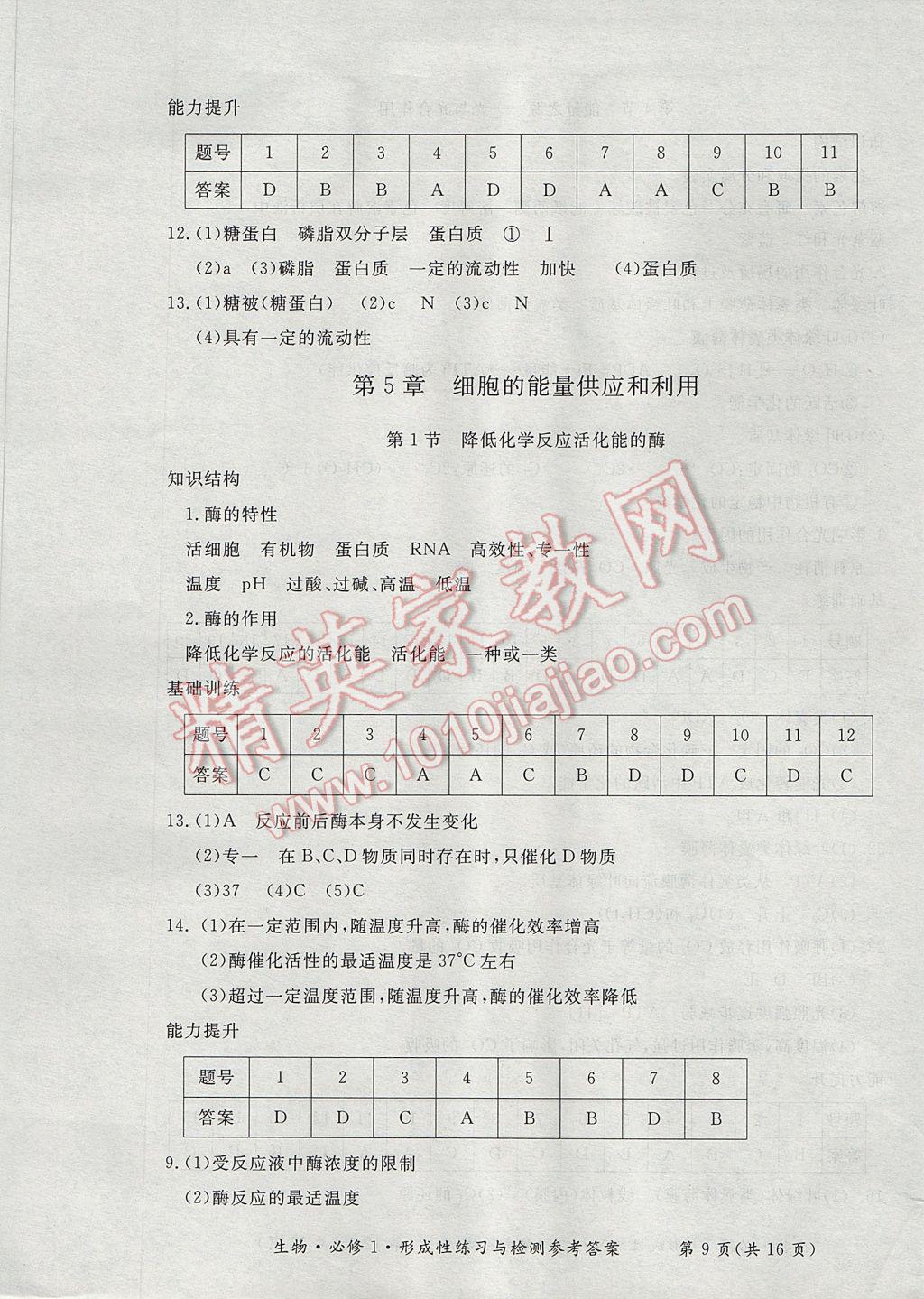 新課標形成性練習與檢測生物必修1 參考答案第9頁