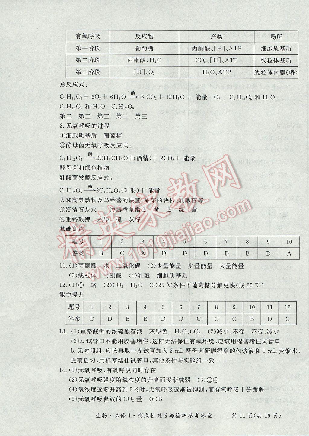 新課標(biāo)形成性練習(xí)與檢測生物必修1 參考答案第11頁