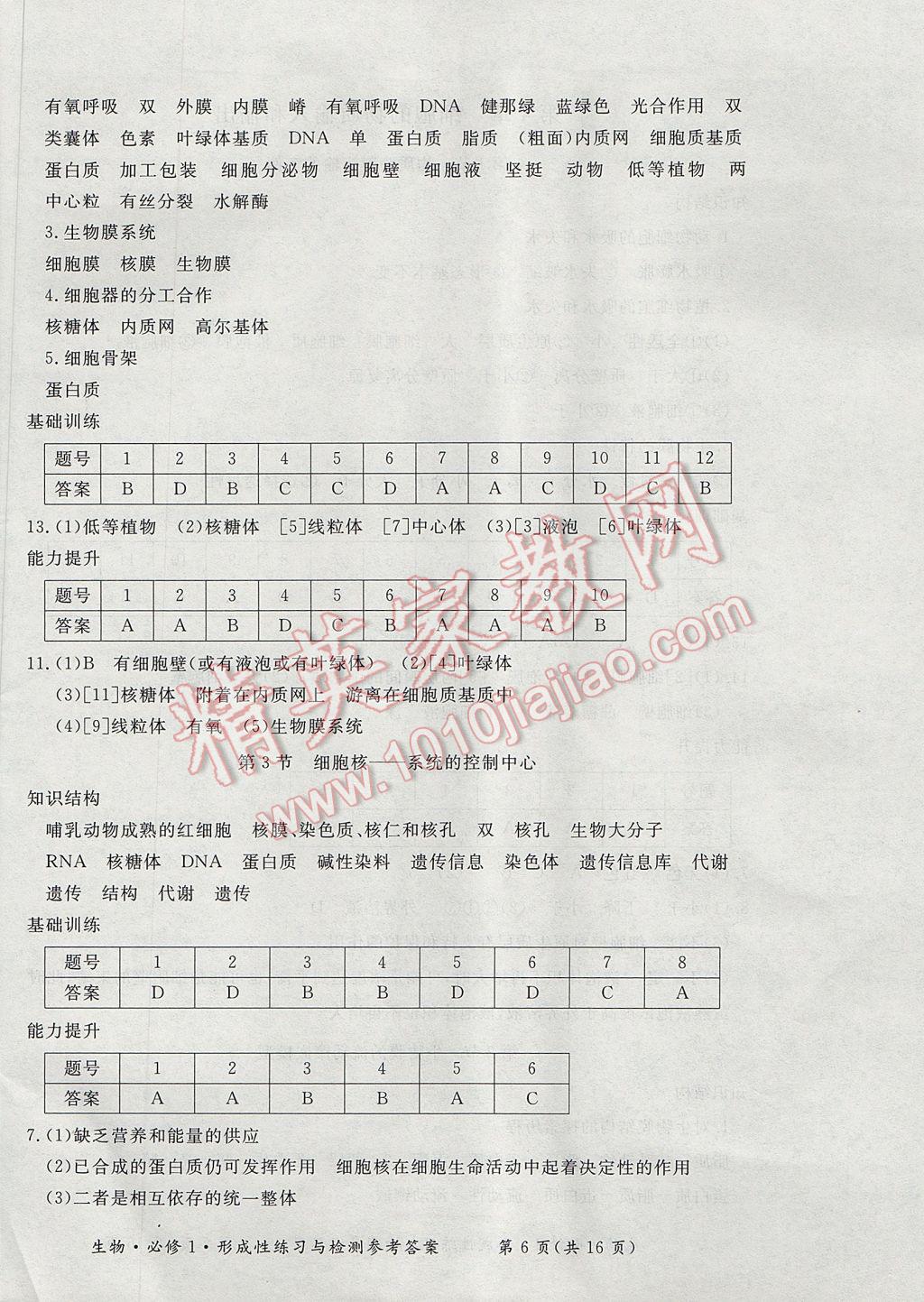 新課標形成性練習與檢測生物必修1 參考答案第6頁