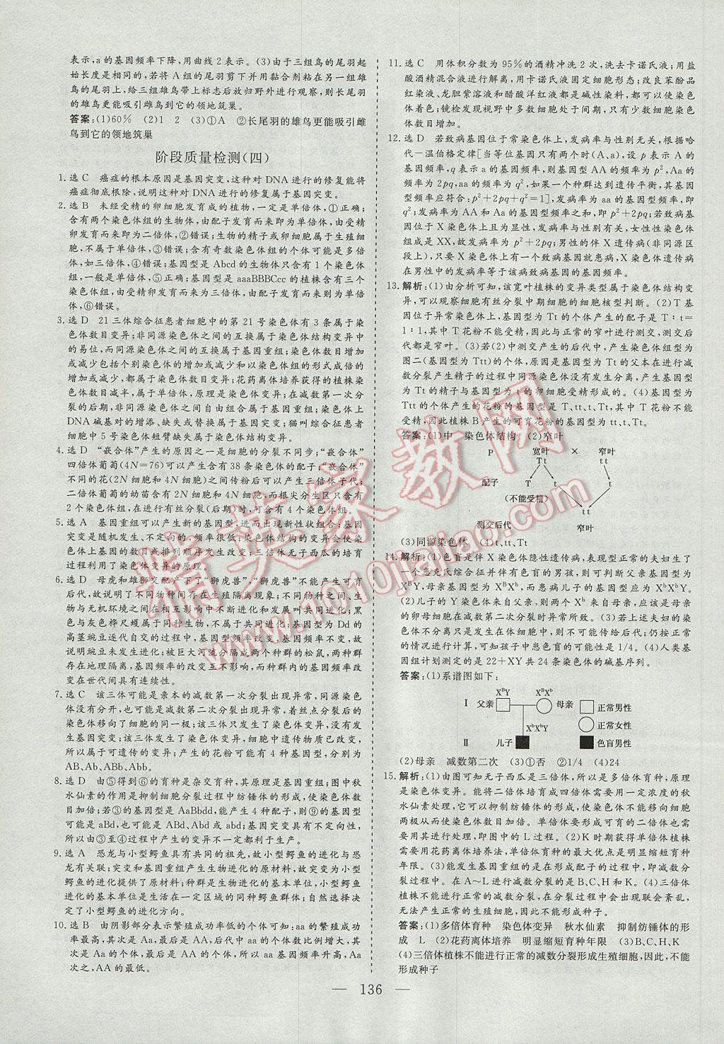 三維設(shè)計高中新課標(biāo)同步課堂生物必修2 參考答案第28頁