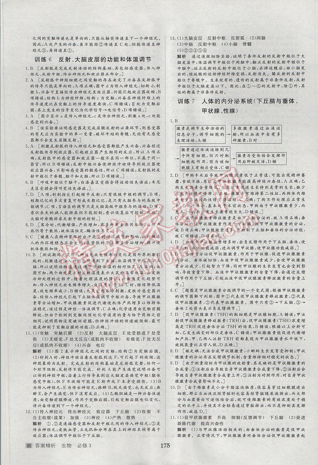 步步高學(xué)案導(dǎo)學(xué)與隨堂筆記生物必修3浙科版 參考答案第17頁