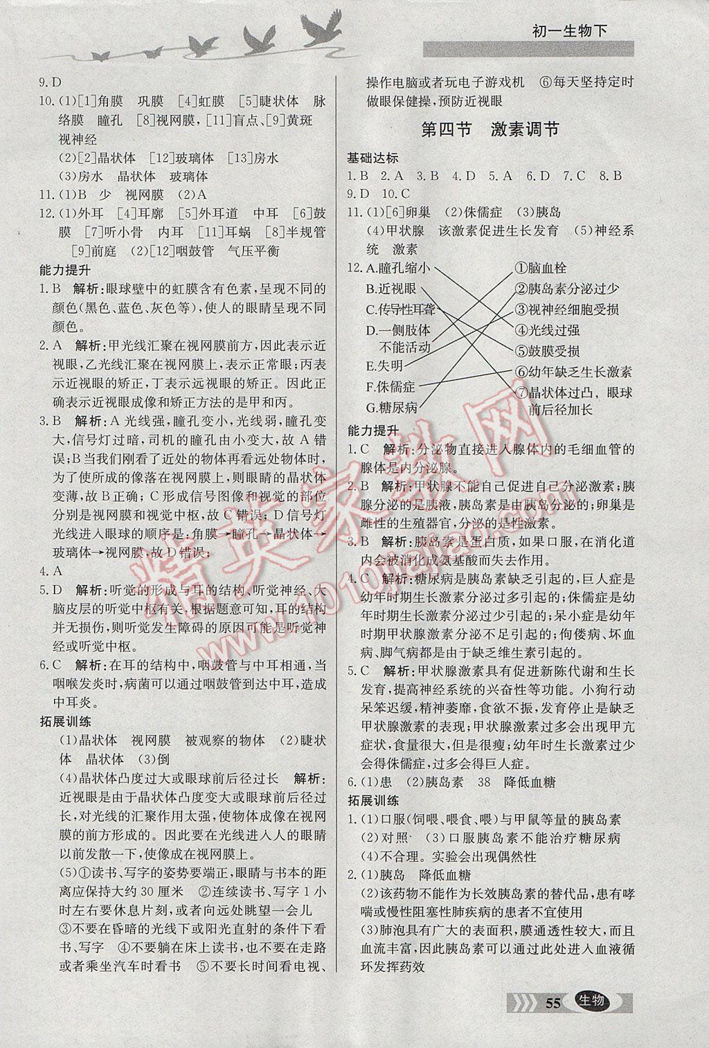 2017年同步檢測三級跳初一生物下冊北京課改版 參考答案第5頁