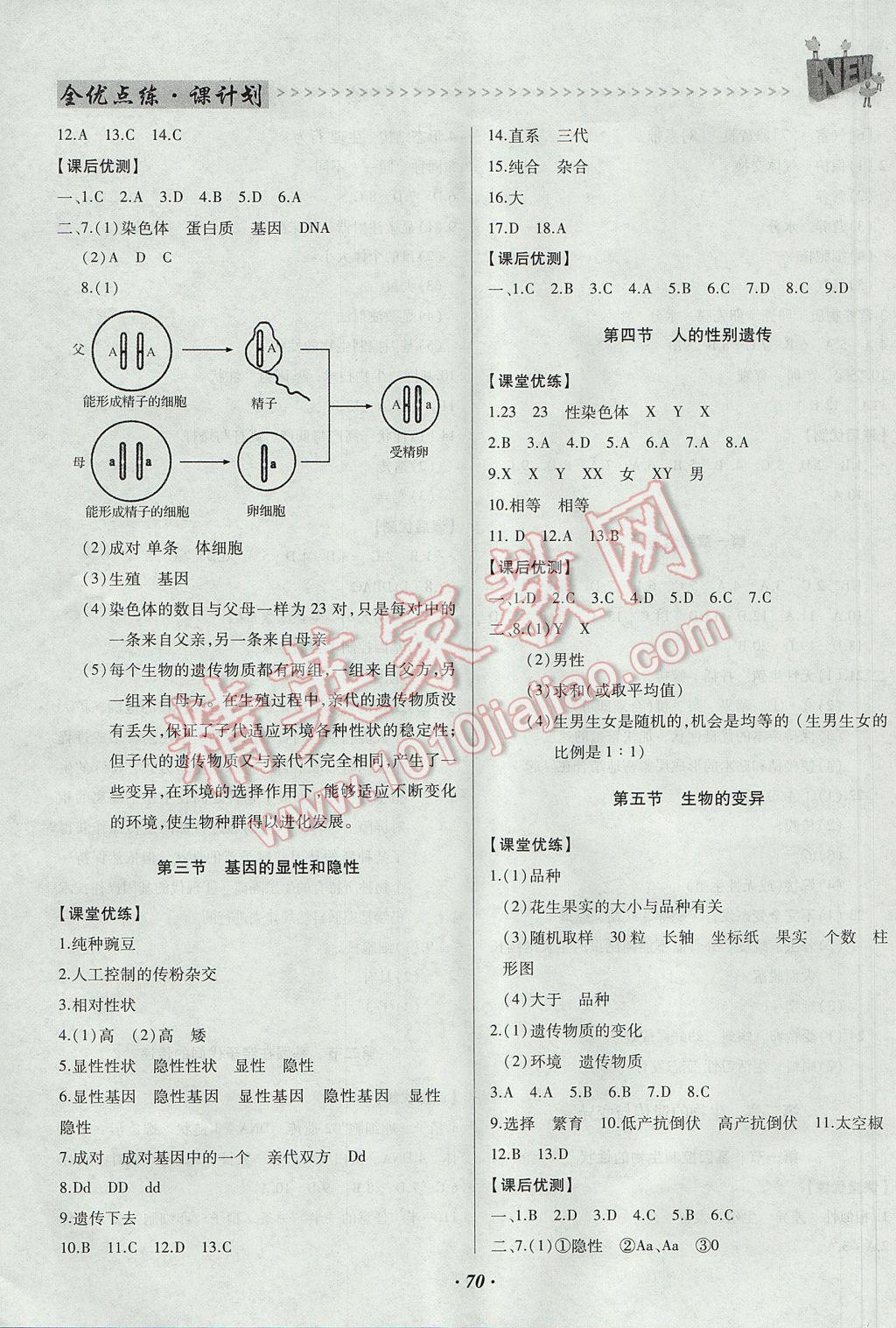 2017年全優(yōu)點(diǎn)練課計(jì)劃八年級(jí)生物下冊(cè)人教版 參考答案第3頁(yè)