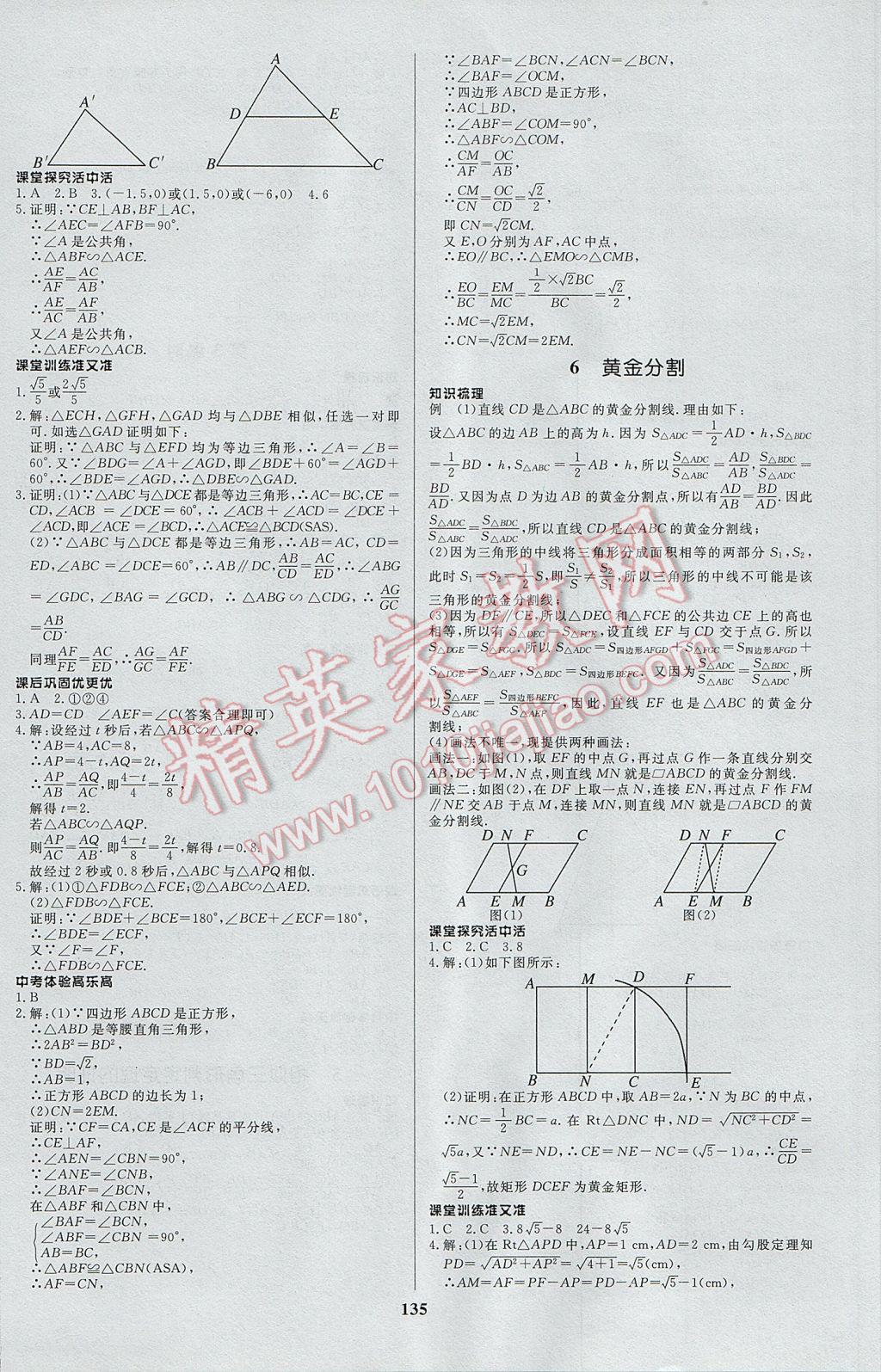 2017年天梯學(xué)案初中同步新課堂八年級數(shù)學(xué)下冊 參考答案第19頁