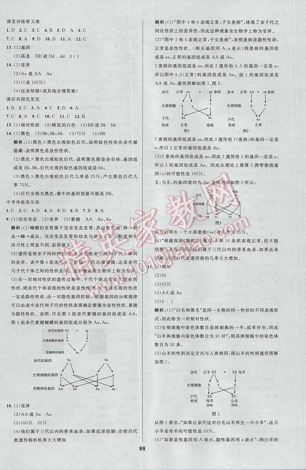 2017年天梯学案初中同步新课堂八年级生物下册 参考答案第4页