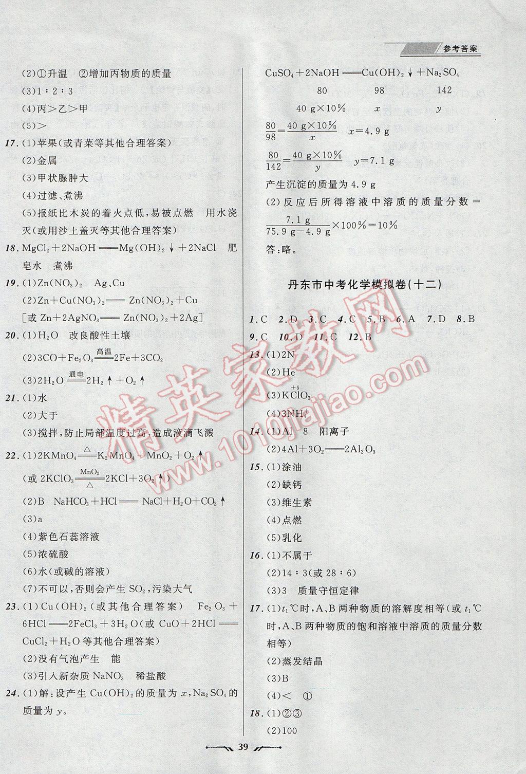 2017年中考全程復(fù)習(xí)訓(xùn)練化學(xué)丹東專版 參考答案第39頁