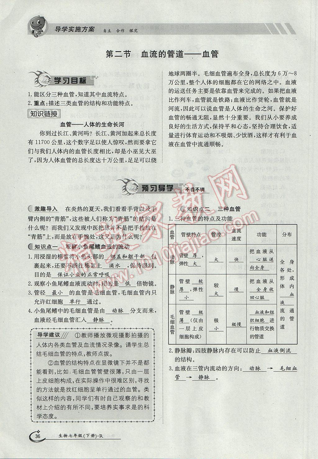 2017年金太陽導(dǎo)學(xué)案七年級生物下冊 第四章第63頁