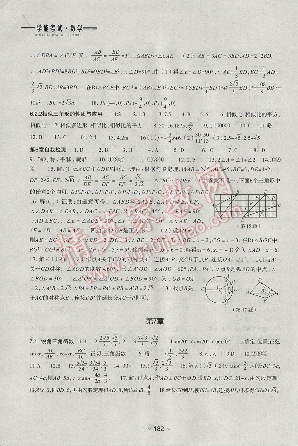 2017年初中總復(fù)習(xí)教學(xué)指導(dǎo)數(shù)學(xué) 參考答案第10頁