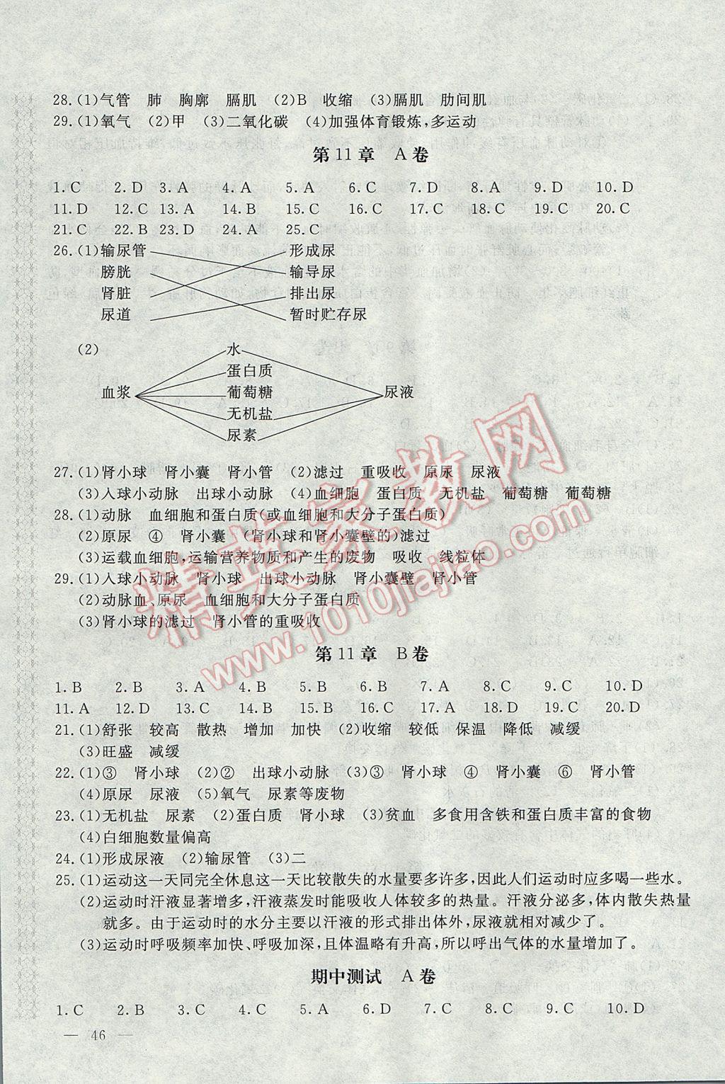 2017年新课堂AB卷七年级生物学下册北师大版 参考答案第3页