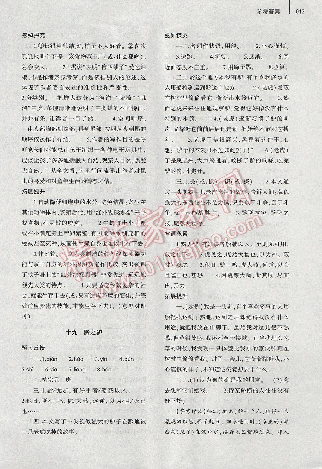 2017年基礎(chǔ)訓(xùn)練七年級語文下冊蘇教版僅限河南省使用大象出版社 參考答案第21頁