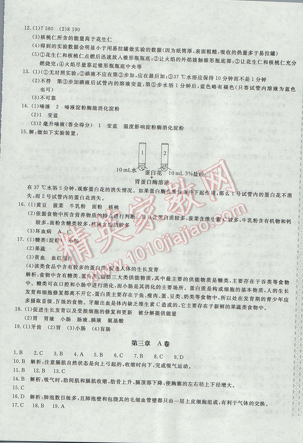 2017年新课堂AB卷七年级生物学下册人教版 参考答案第4页