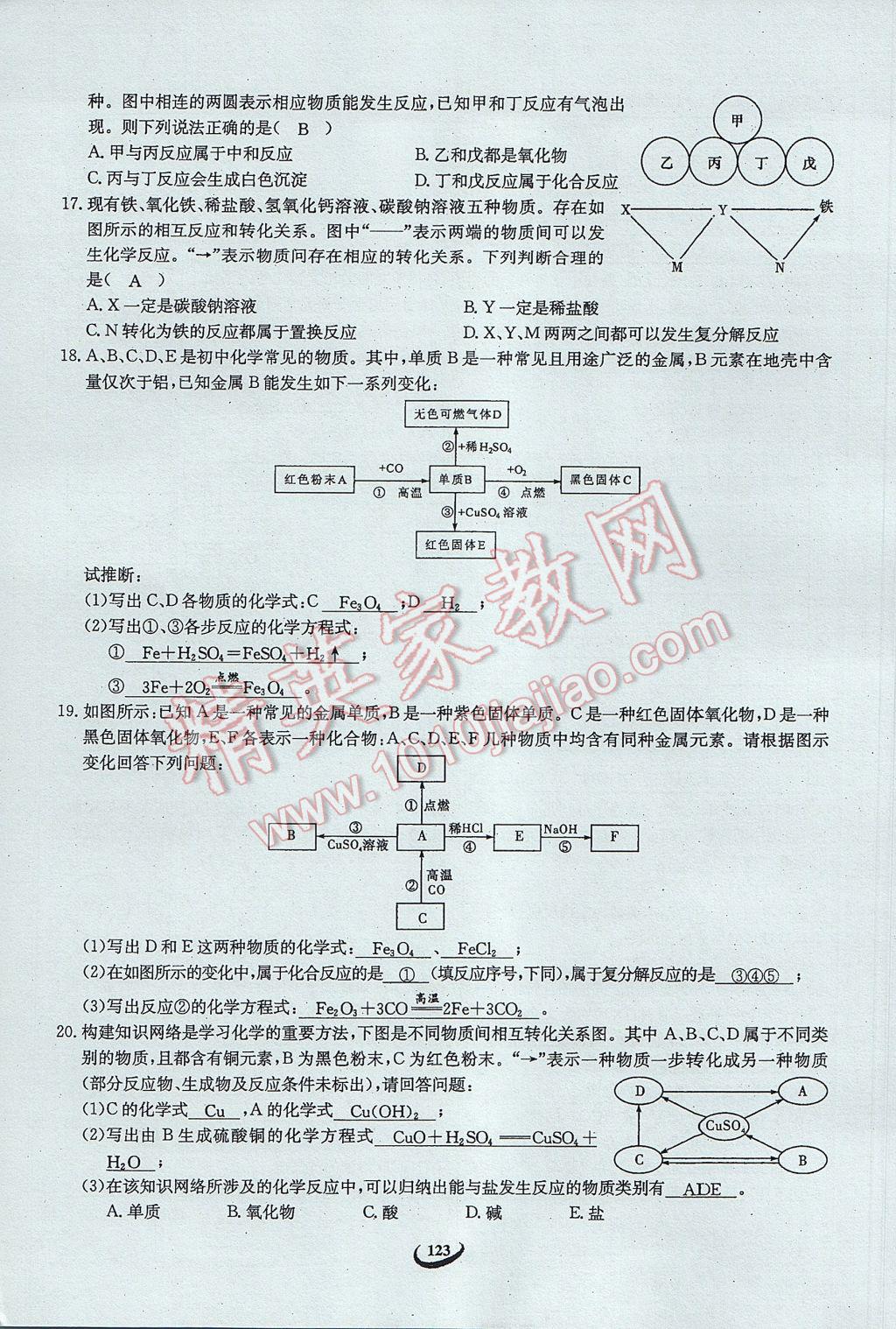 2017年思维新观察中考化学 第五篇 科学探究第109页