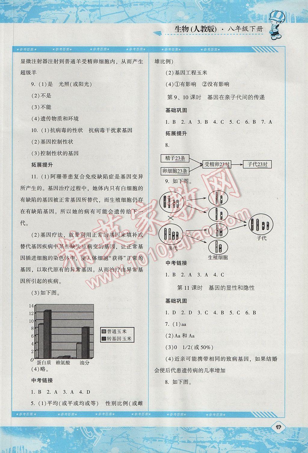 2017年課程基礎(chǔ)訓(xùn)練八年級(jí)生物下冊(cè)人教版湖南少年兒童出版社 參考答案第3頁(yè)