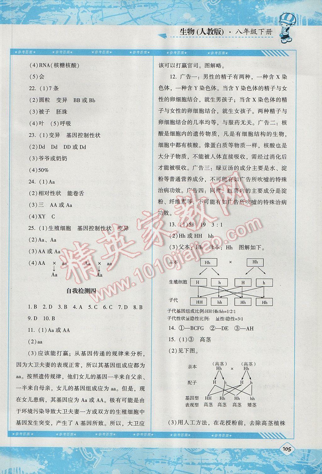 2017年課程基礎訓練八年級生物下冊人教版湖南少年兒童出版社 參考答案第11頁