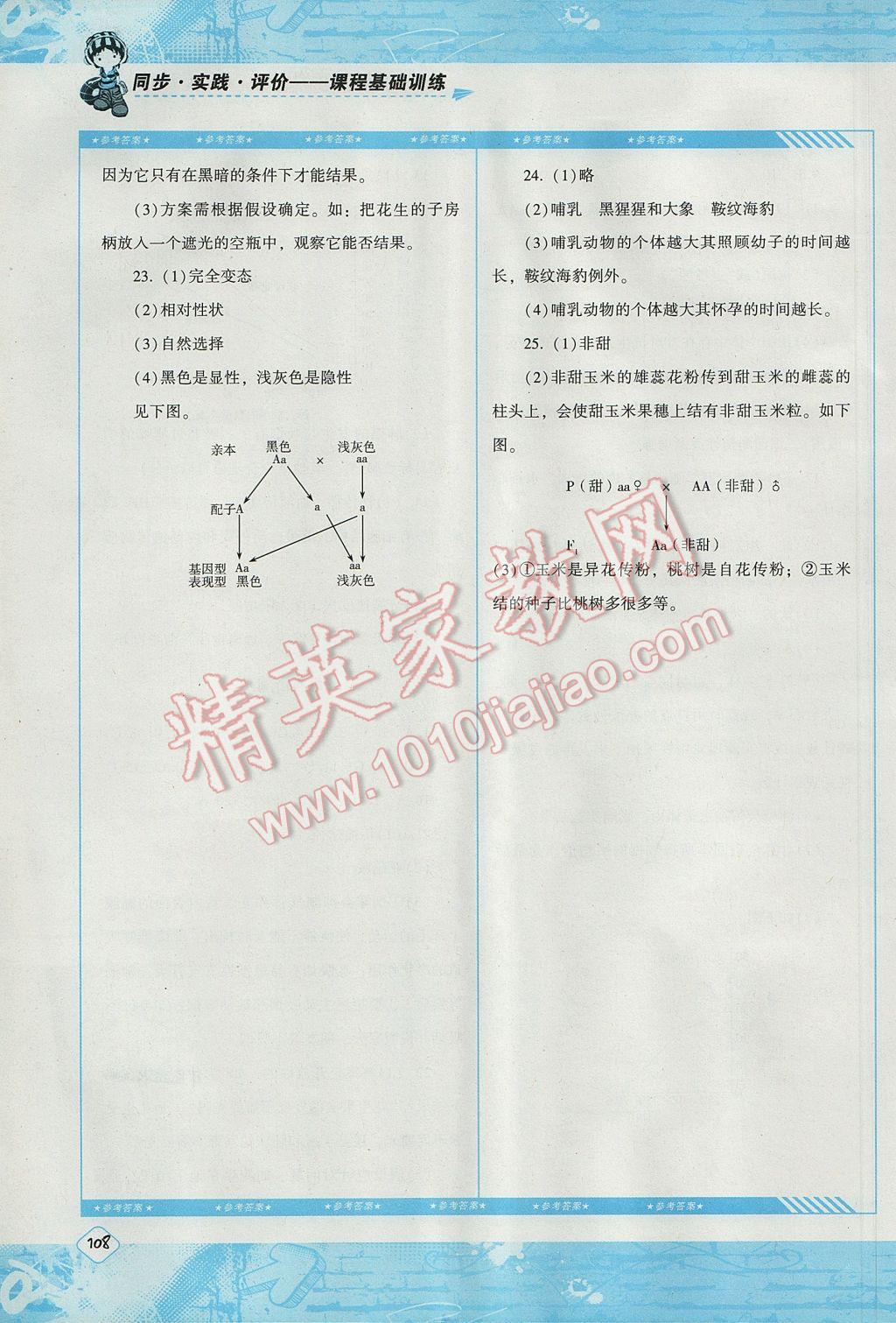 2017年課程基礎訓練八年級生物下冊人教版湖南少年兒童出版社 參考答案第14頁