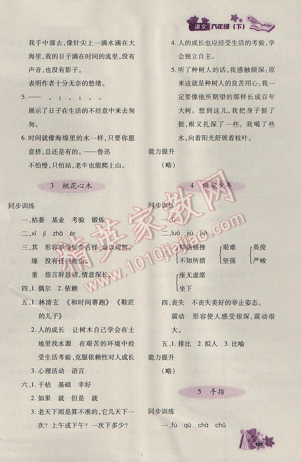 2017年新教材同步導(dǎo)學(xué)優(yōu)化設(shè)計(jì)課課練六年級(jí)語文下冊(cè) 參考答案第2頁