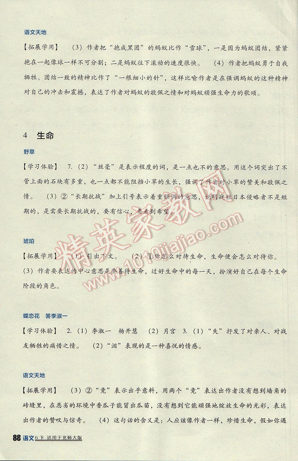 2017年小学生学习实践园地六年级语文下册北师大版 参考答案第3页