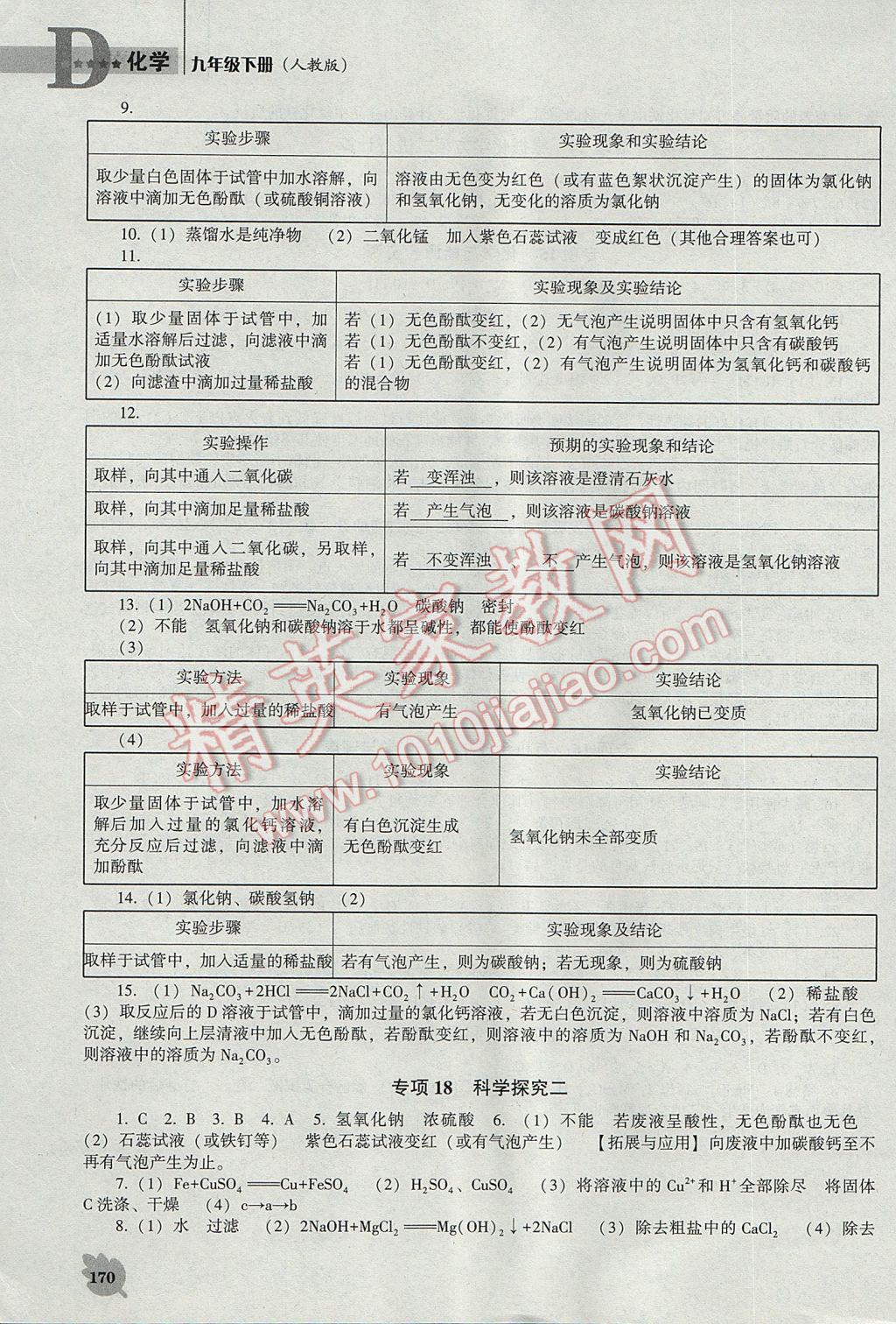 2017年新课程化学能力培养九年级下册人教版D版 参考答案第11页