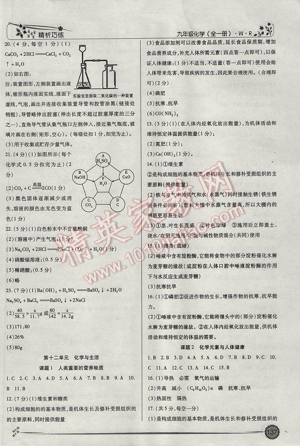 2016年精析巧练阶段性复习与测试九年级化学WR 参考答案第11页