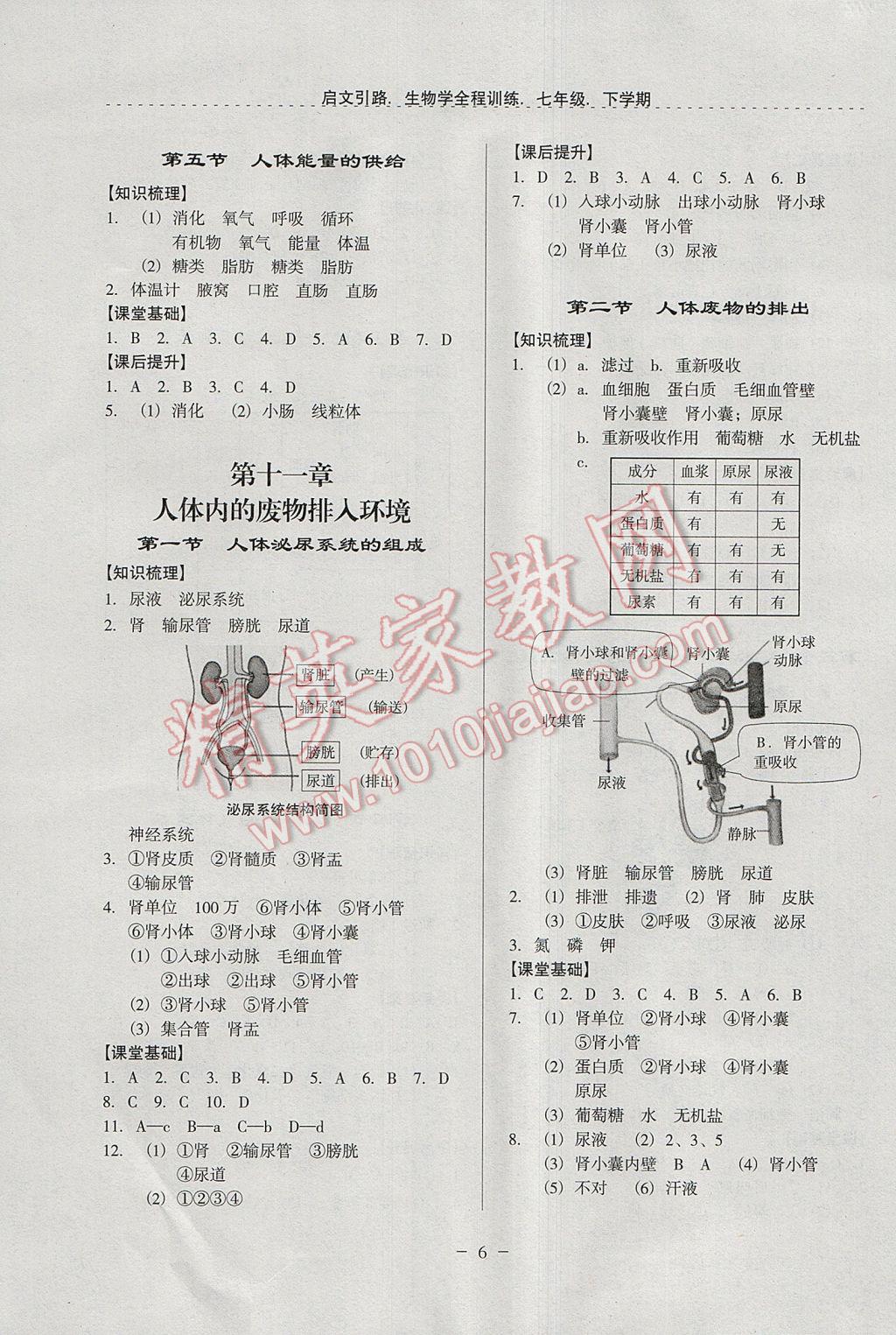 2017年启文引路七年级生物学下学期 参考答案第6页