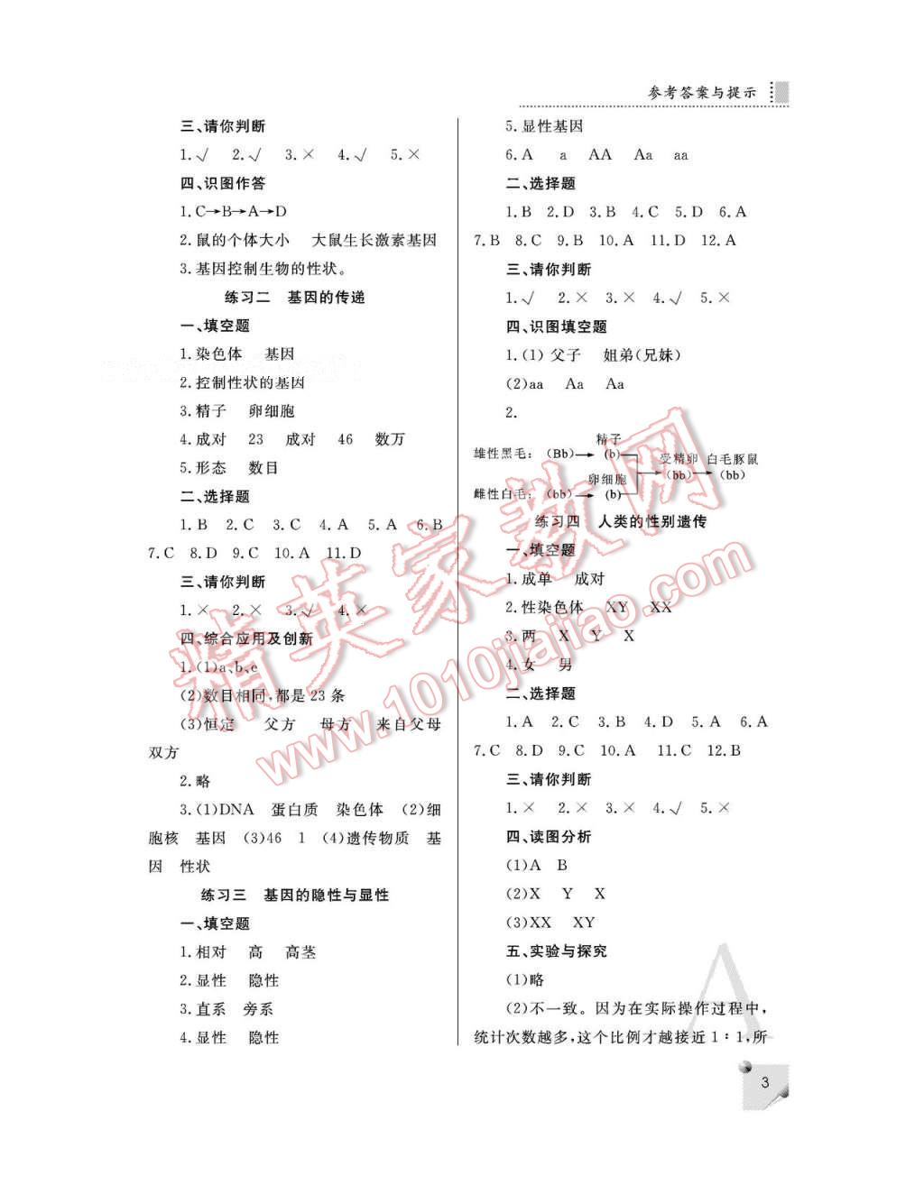 2017年課堂練習(xí)冊八年級生物下冊人教版A版 參考答案第3頁