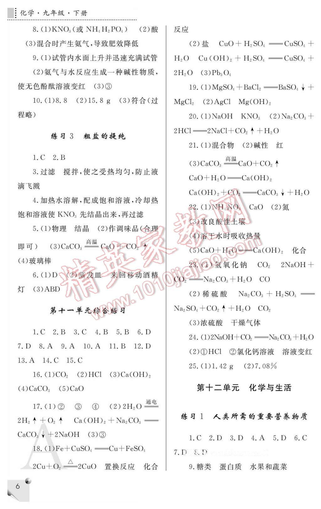 2017年课堂练习册九年级化学下册人教版A版 参考答案第6页