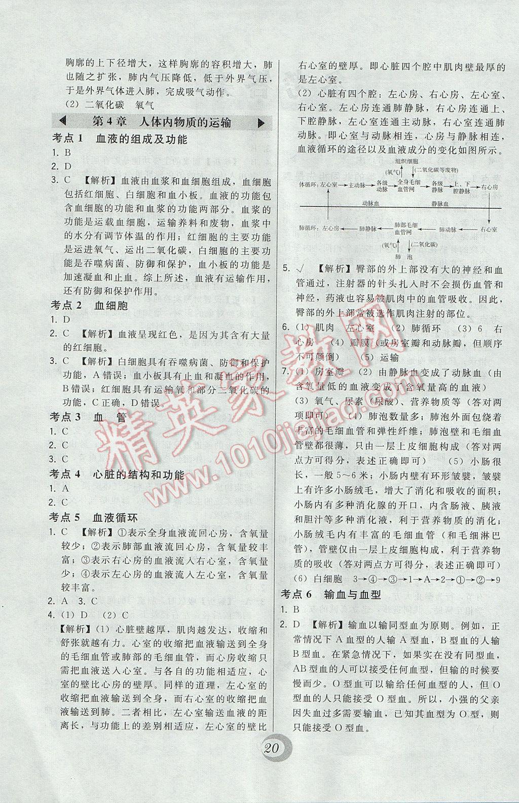 2017年北大绿卡课时同步讲练七年级生物下册人教版 真题精练参考答案第16页