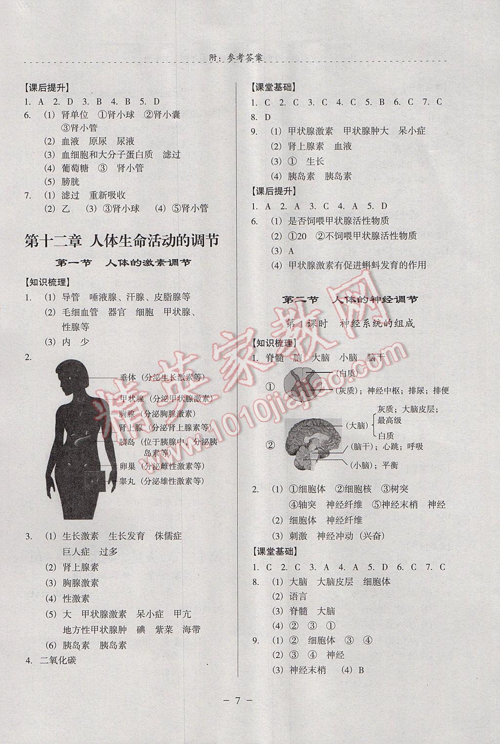 2017年启文引路七年级生物学下学期 参考答案第7页