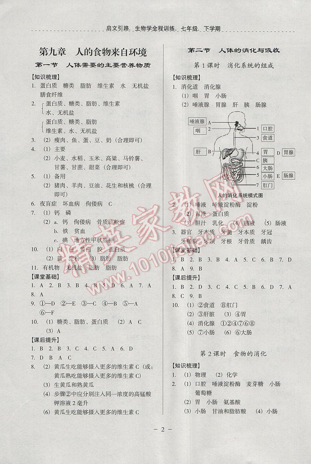 2017年啟文引路七年級生物學下學期 參考答案第2頁