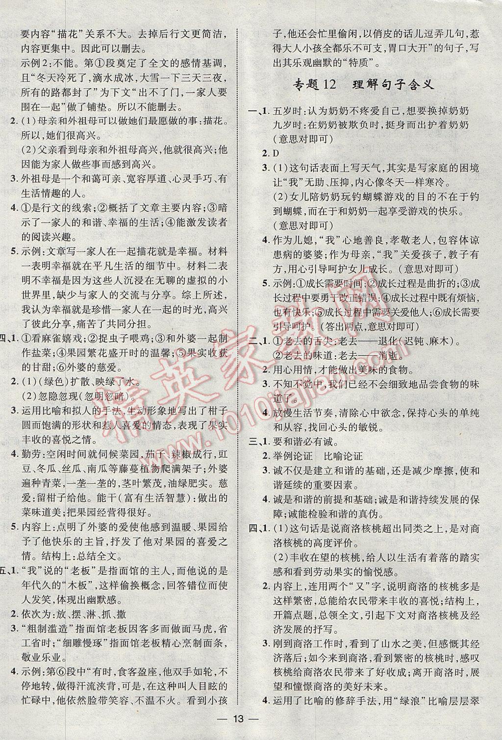 2017年智囊團(tuán)中考總復(fù)習(xí)語文人教版 參考答案第13頁