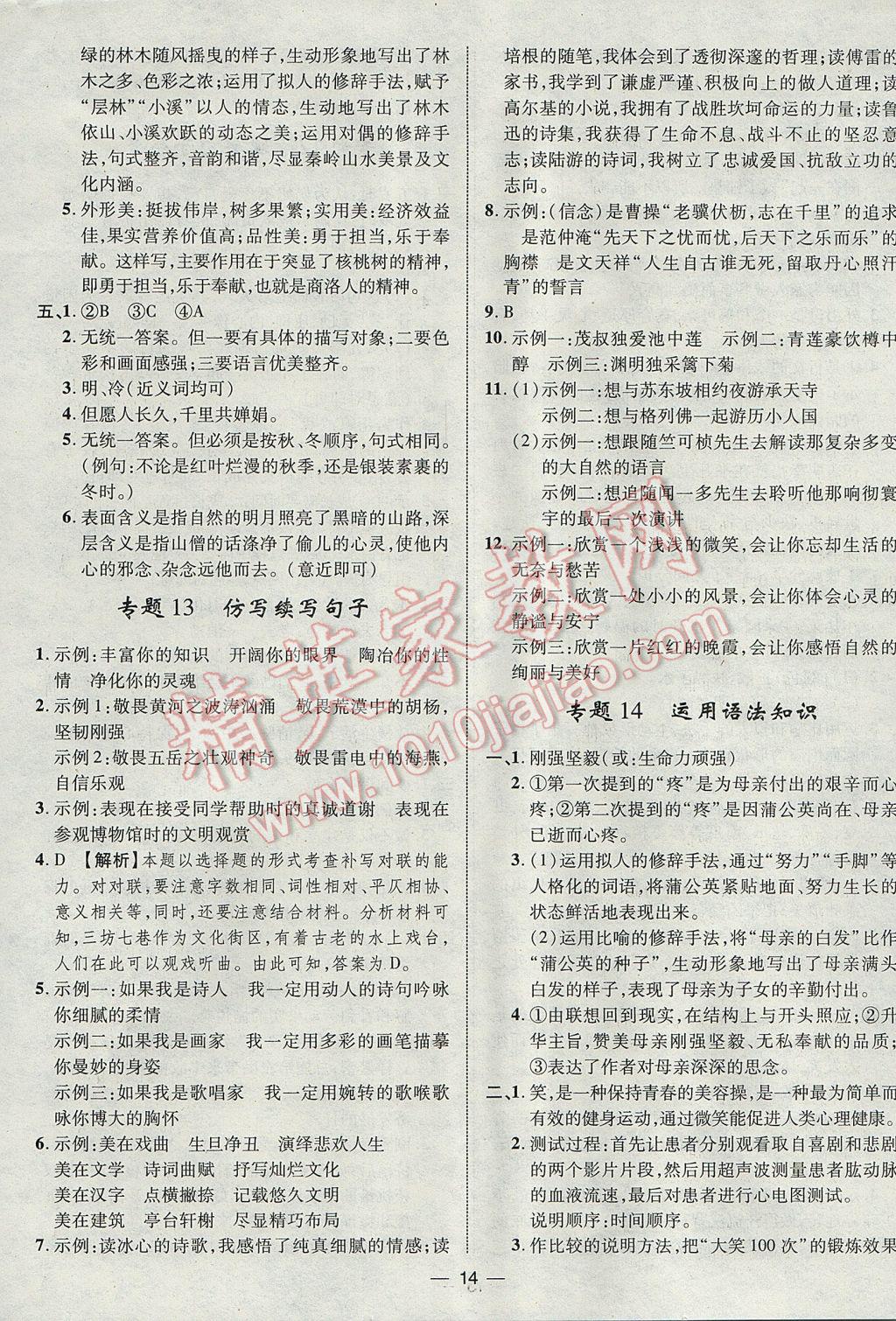 2017年智囊團中考總復習語文人教版 參考答案第14頁