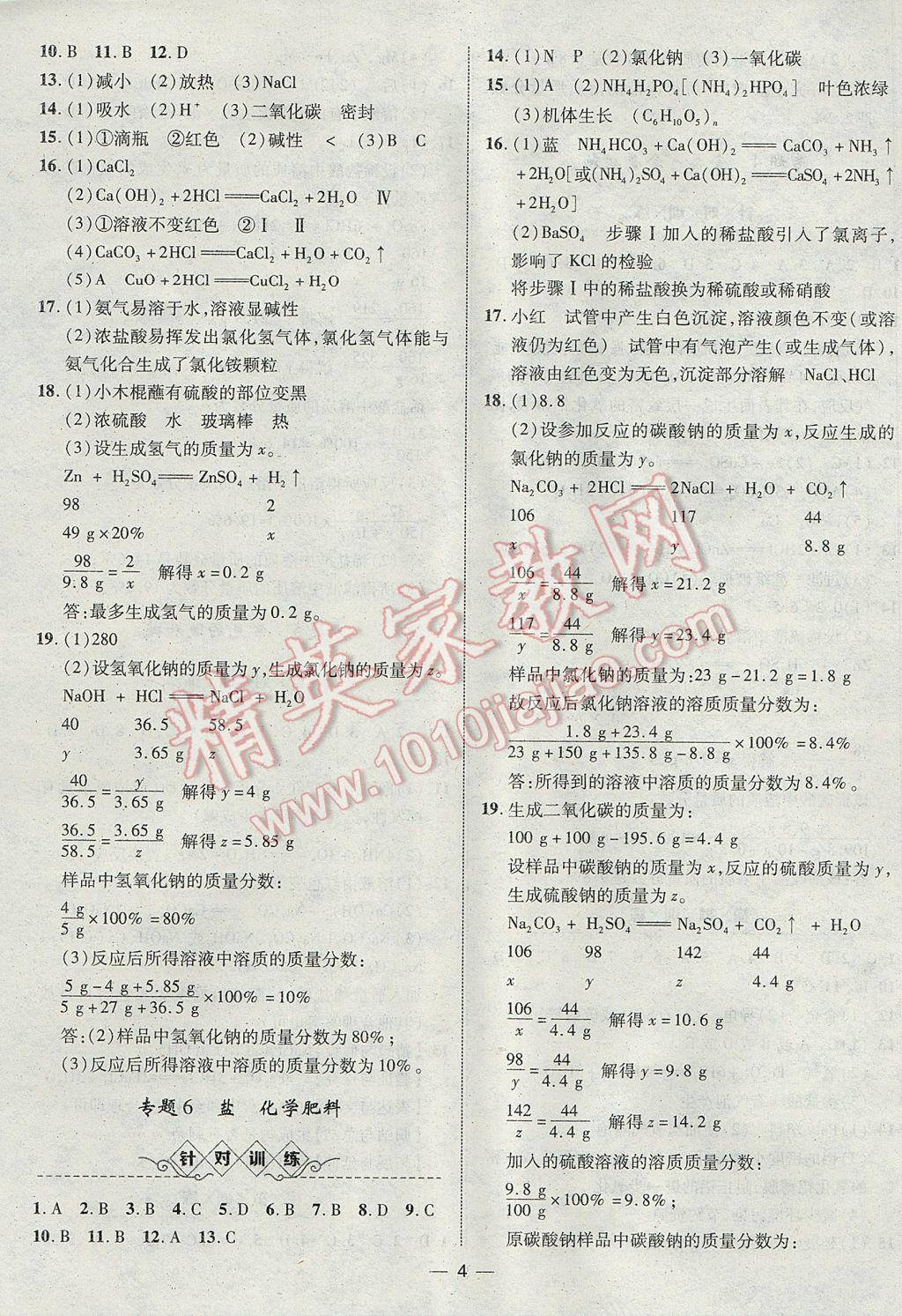 2017年智囊團(tuán)中考總復(fù)習(xí)化學(xué)人教版 參考答案第4頁(yè)