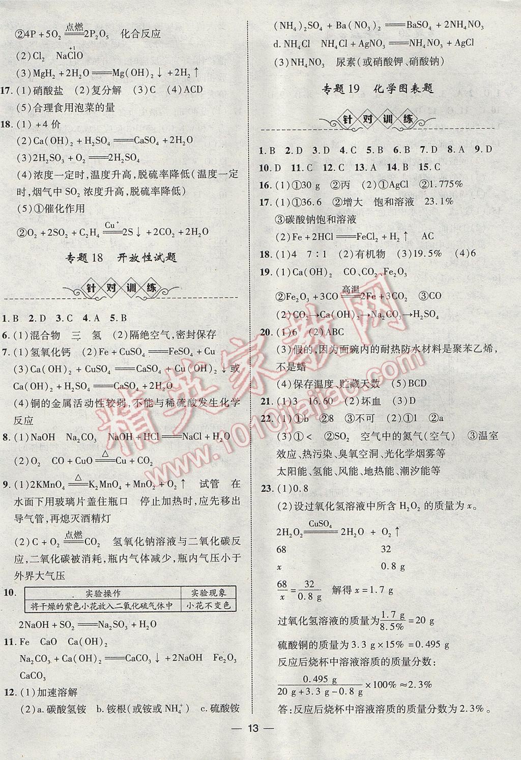 2017年智囊團中考總復習化學人教版 參考答案第13頁