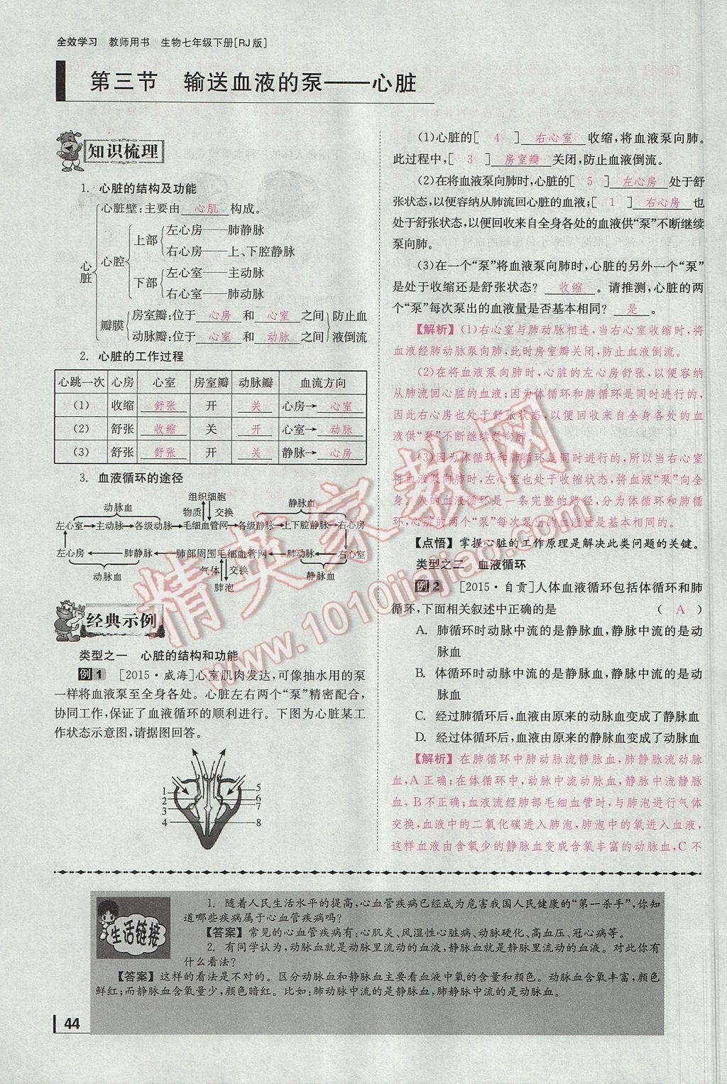 2017年全效學習七年級生物下冊人教版 第四章 人體內物質的運算第109頁