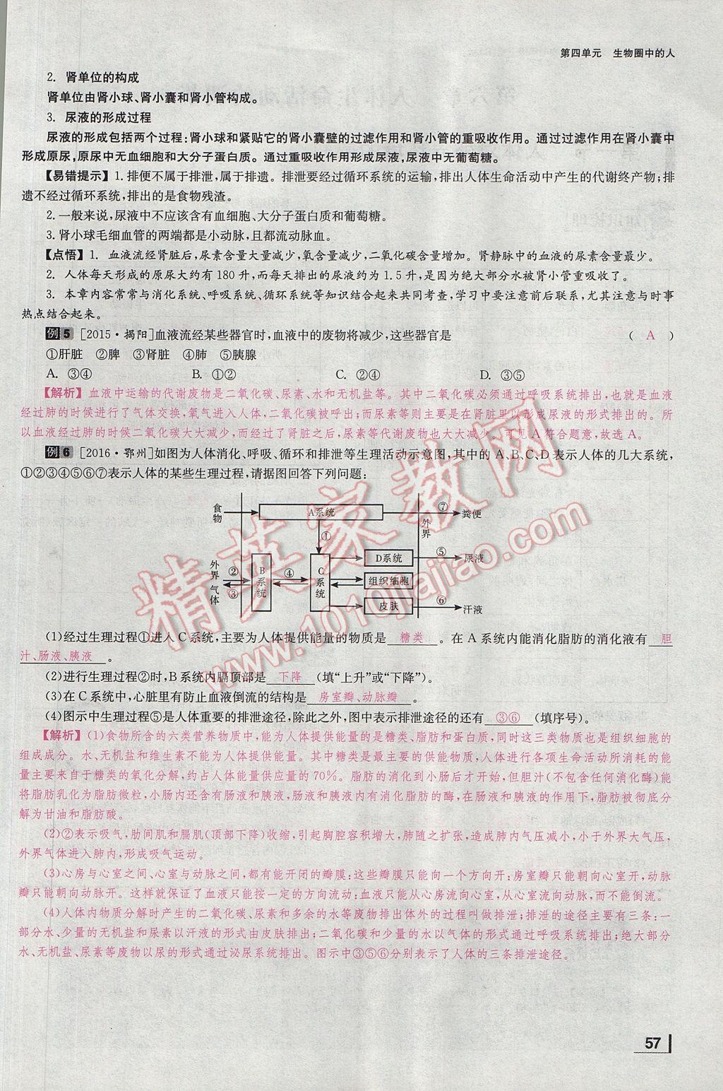 2017年全效學習七年級生物下冊人教版 第五章 人體內廢物的排出第84頁